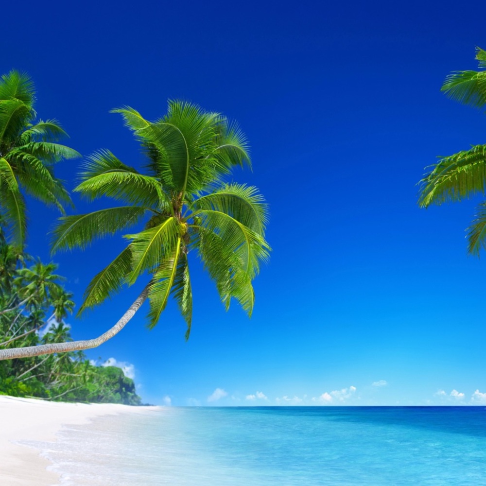 TOP SELLER/TOP RATED🏆SINCE FEB.1, 2016 GOING ON MY 10TH YR!😍 - Picture 15 of 15